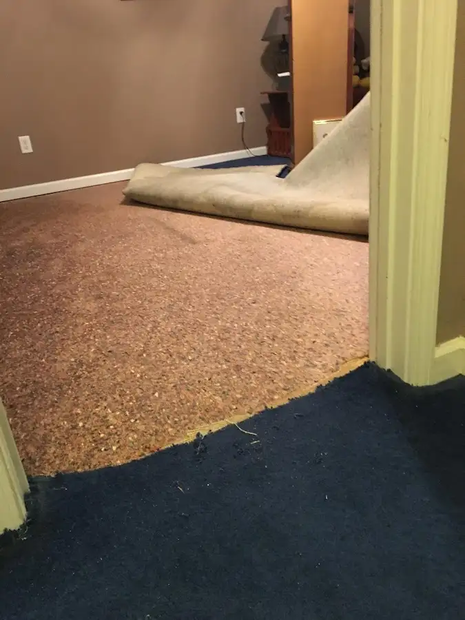 Carpet pad removal revealing water damage during Drying & Dehumidification in Cimarron Hills